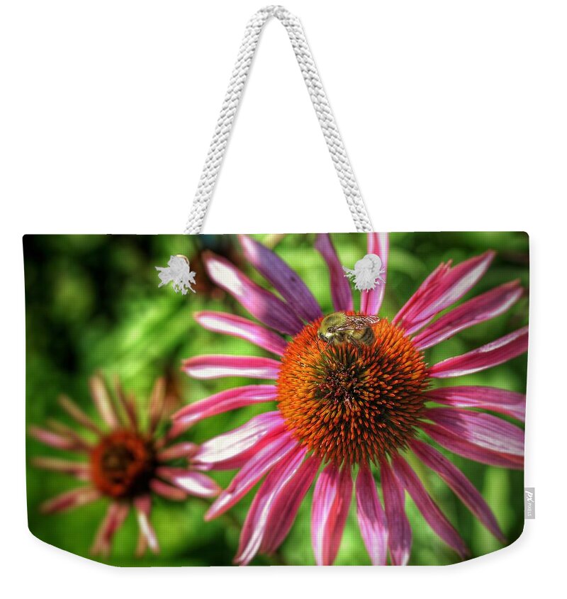 Bee Weekender Tote Bag featuring the photograph Bee Sitting Pretty by Buck Buchanan