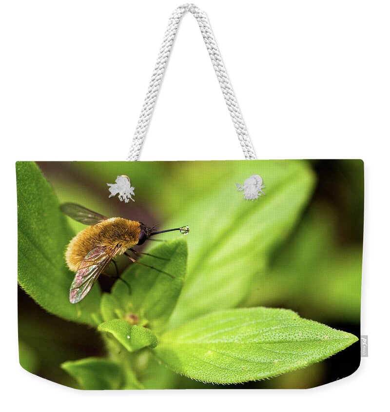 Beefly Weekender Tote Bag featuring the photograph Beefly by Christopher Holmes