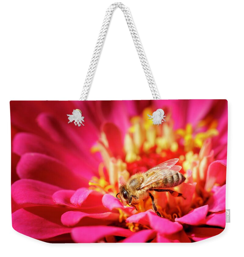 Bee Weekender Tote Bag featuring the photograph Bees Business by Rick Deacon