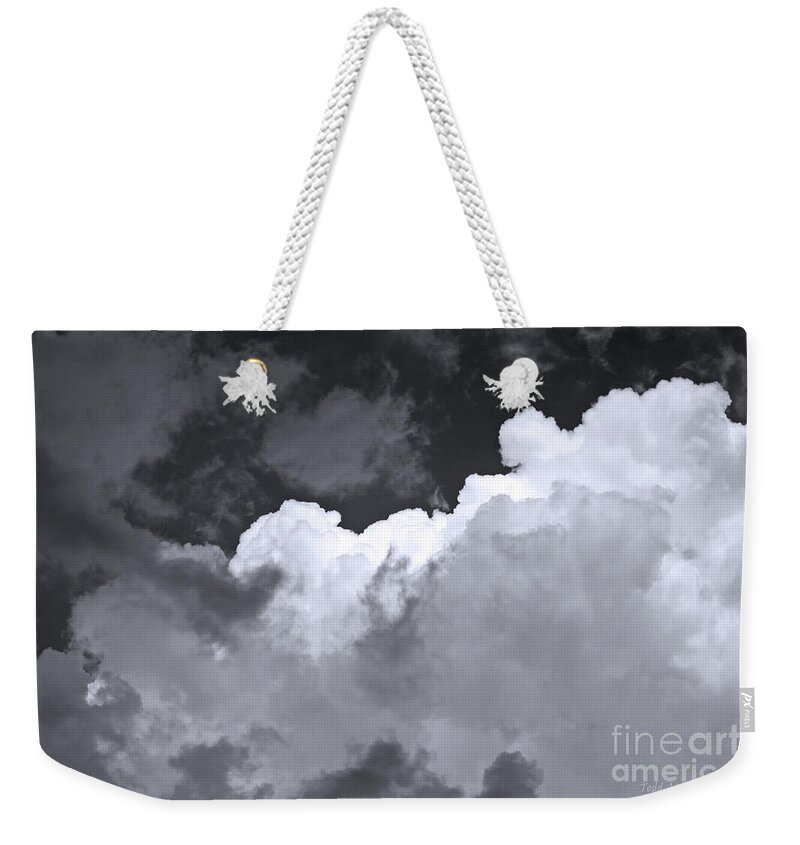 Landscape Weekender Tote Bag featuring the photograph Before The Rain by Todd Blanchard