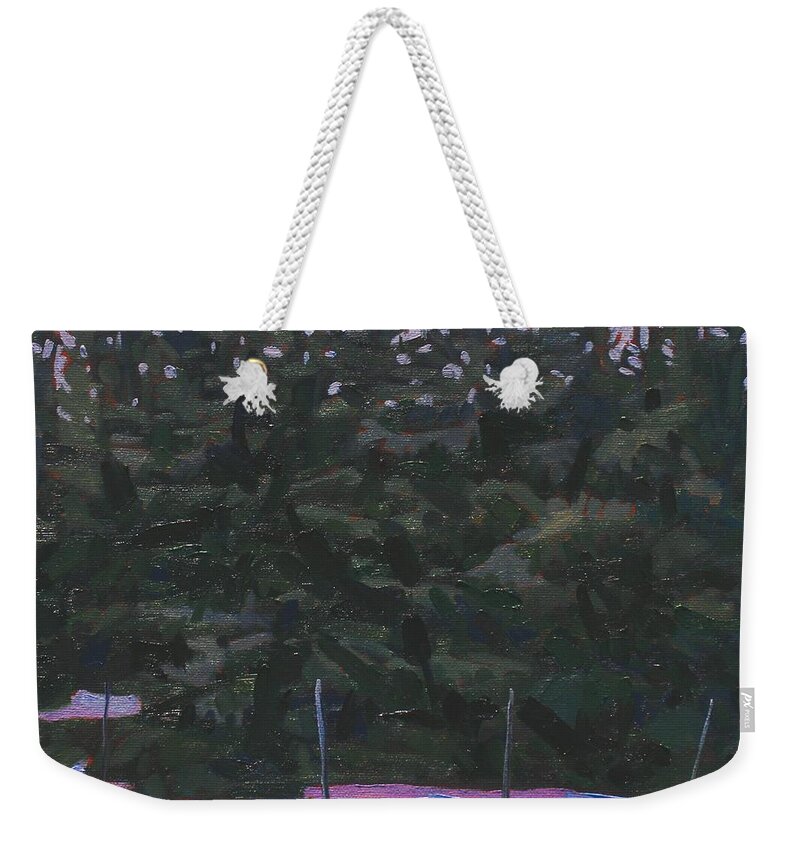 779 Weekender Tote Bag featuring the painting Before the Storm by Phil Chadwick
