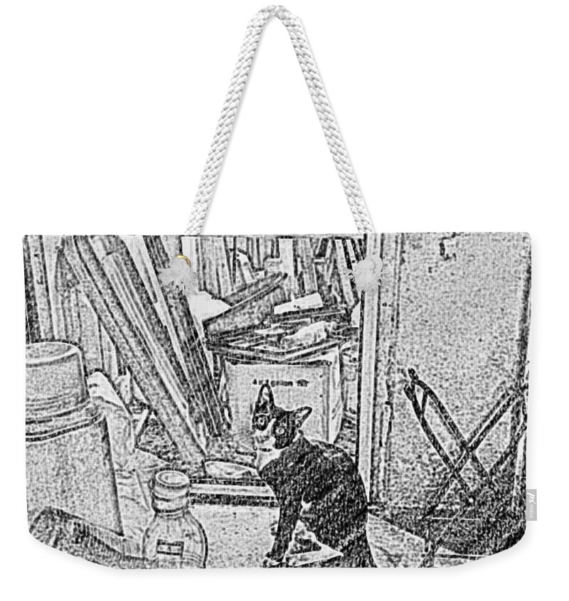 Crying Weekender Tote Bag featuring the photograph Crying To Go Out by Sukalya Chearanantana