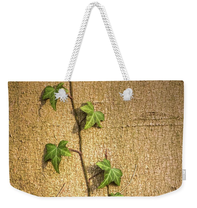Tree Weekender Tote Bag featuring the photograph Beginnings by Wim Lanclus