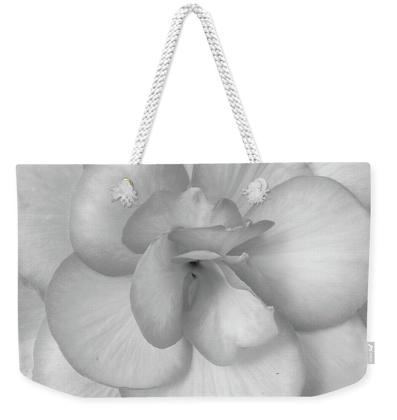 Begonia Weekender Tote Bag featuring the photograph Begonia No. 1-1 by Sandy Taylor