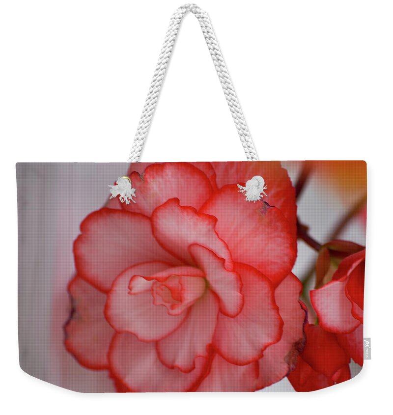 Flower Weekender Tote Bag featuring the photograph Begonia Beauty by Lora Lee Chapman