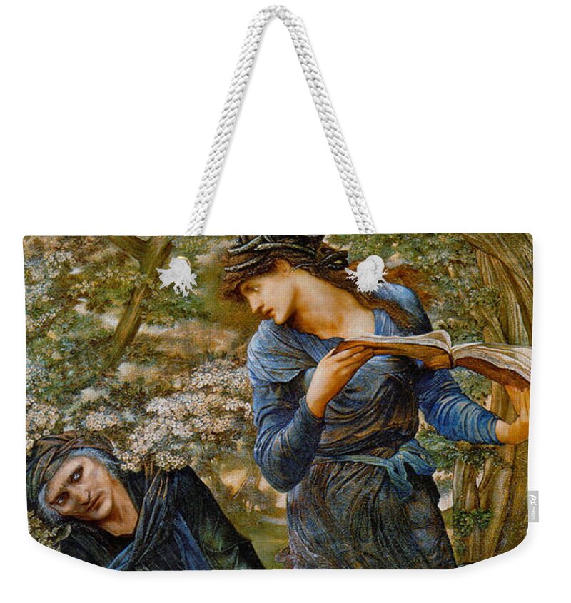 Beguiling Merlin 1873 Weekender Tote Bag featuring the photograph Beguiling Merlin 1873 by Padre Art