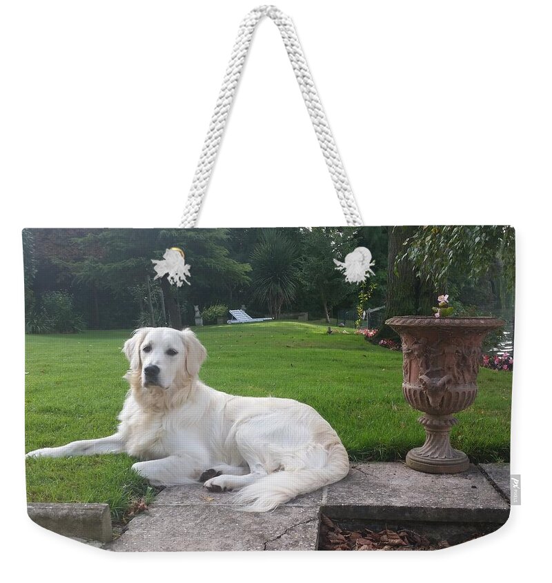 Dog Weekender Tote Bag featuring the photograph Being Elegant by Rowena Tutty