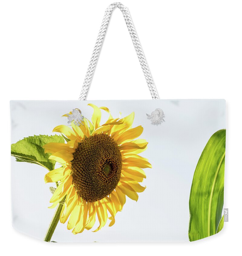 Corn Leaves Weekender Tote Bag featuring the photograph Being Neighborly - by Julie Weber