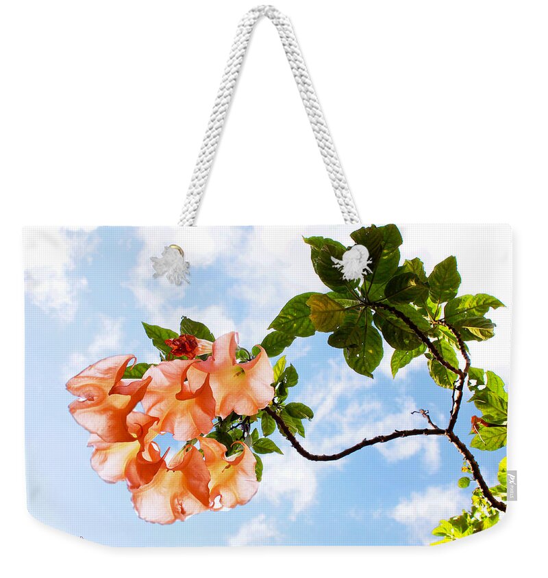 Susan Vineyard Weekender Tote Bag featuring the photograph Bell Flowers in the Sky by Susan Vineyard