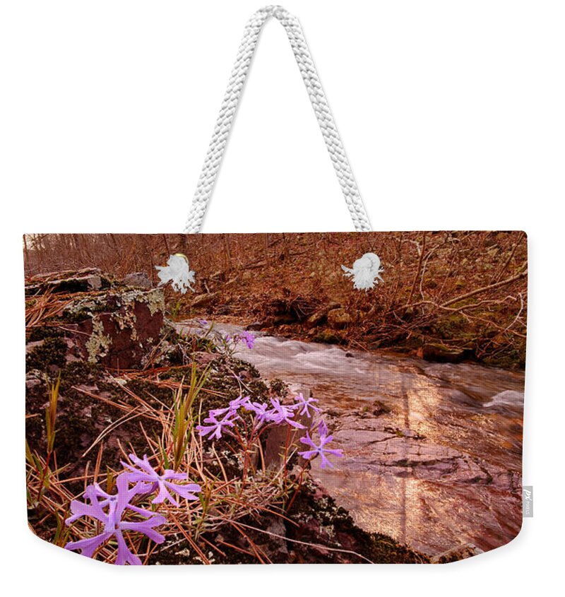Flowers Weekender Tote Bag featuring the photograph Bell Mountain Wilderness, Missouri. Shut-ins Creek Hike. by Robert Charity