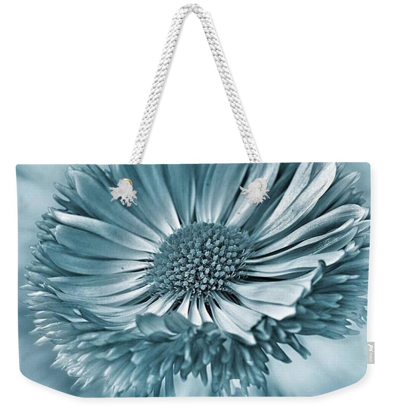 Beautiful Weekender Tote Bag featuring the photograph Bellis In Cyan 
#flower #flowers by John Edwards