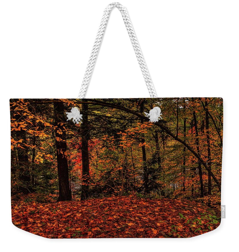 Autumn Weekender Tote Bag featuring the photograph Bending Over Fallen Leaves by Dale Kauzlaric