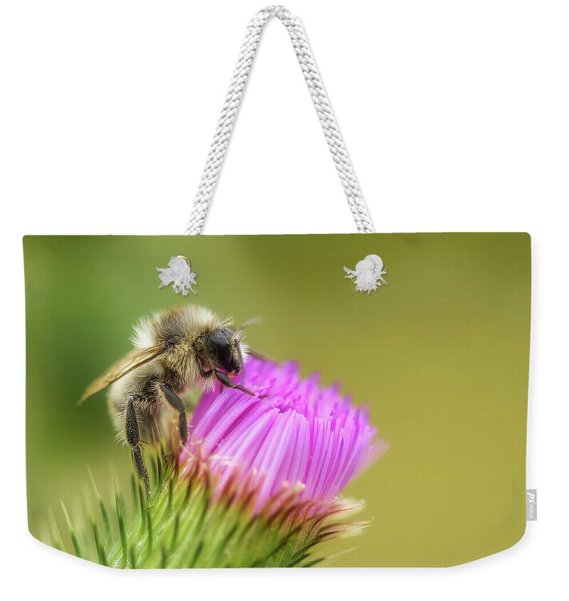 Beneficial Insect Weekender Tote Bags