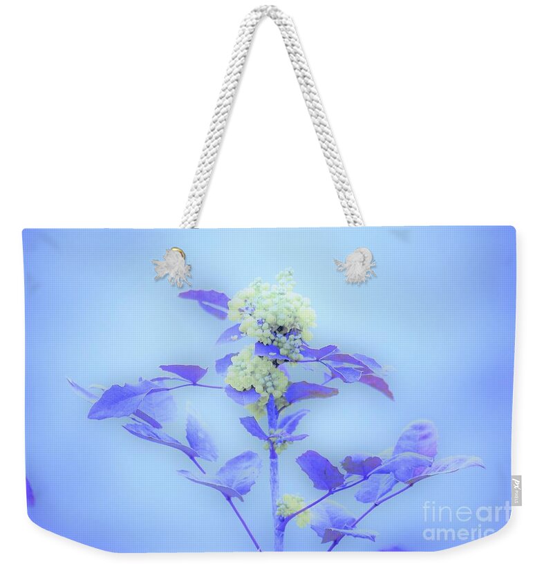 Floral Weekender Tote Bag featuring the photograph Berries on blue by Merle Grenz