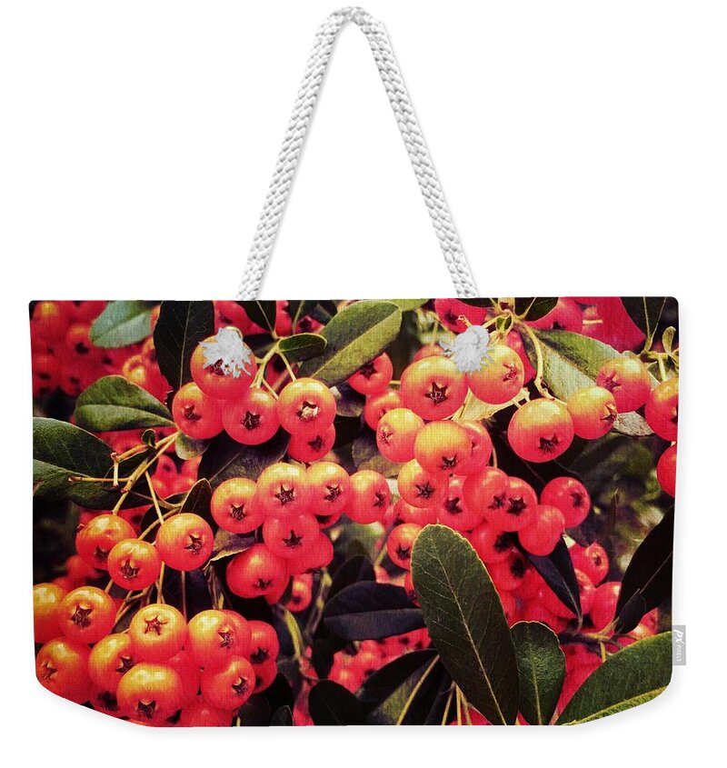 Berries Weekender Tote Bag featuring the photograph Berry Fall by Onedayoneimage Photography