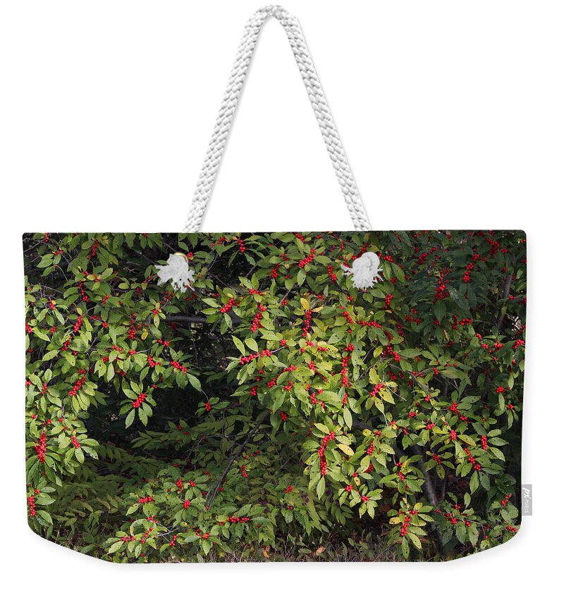 Fall Weekender Tote Bag featuring the photograph Berry Spread by Deborah Crew-Johnson