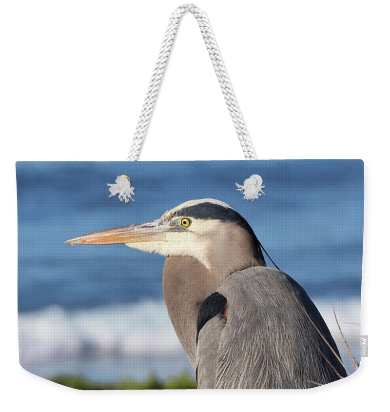 Great Blue Herons Weekender Tote Bag featuring the photograph Bertie above the Ocean by Kathleen Bishop