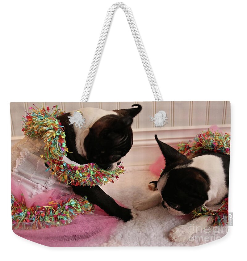 Animal Weekender Tote Bag featuring the photograph Best Paw Forward by Susan Herber