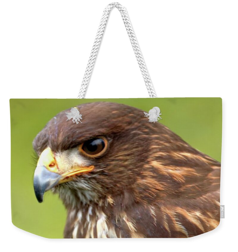 Bird Weekender Tote Bag featuring the photograph Beware The Predator by Stephen Melia