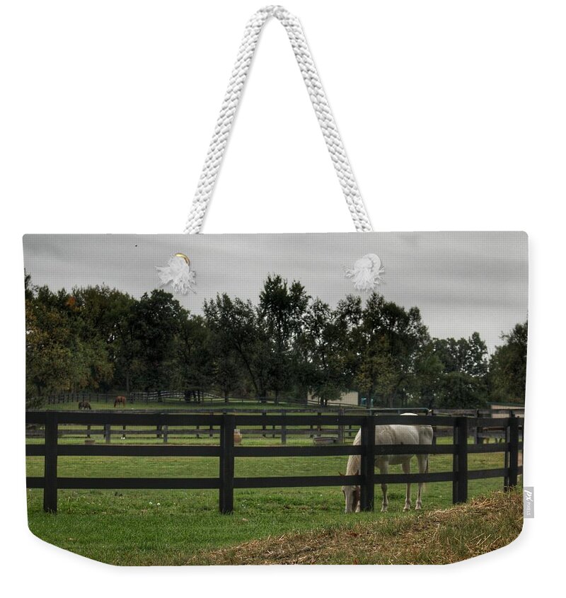 Horse Weekender Tote Bag featuring the photograph 1004 - Beyond the Fence White Horse by Sheryl L Sutter