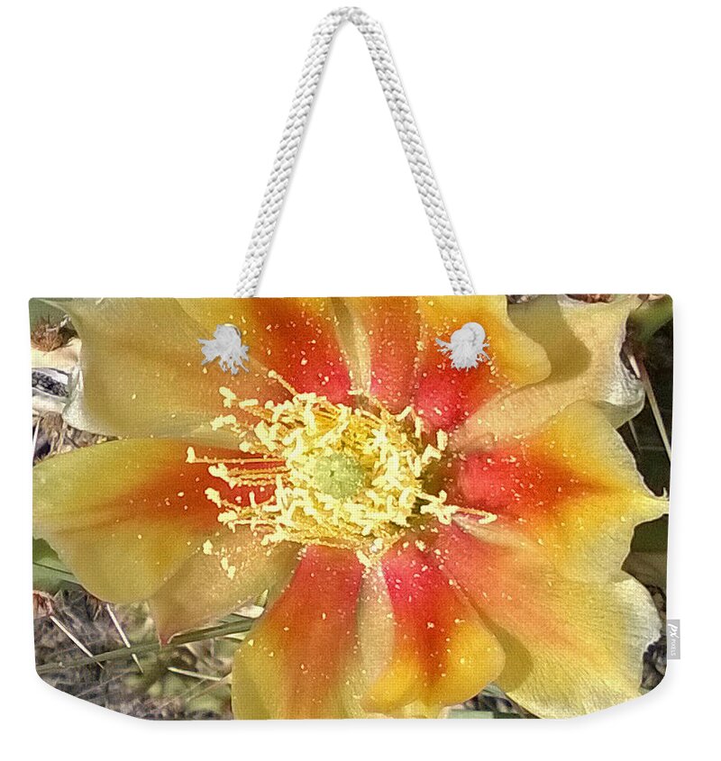 Cactus Weekender Tote Bag featuring the photograph Bicolored Prickly Pear Bloom by Claudia Goodell
