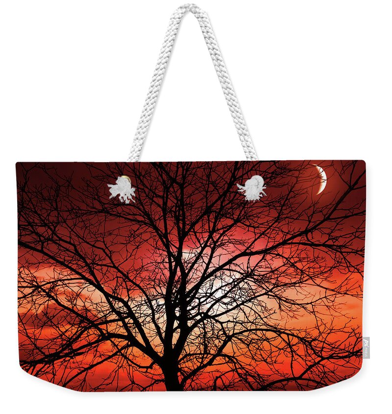 Tree Weekender Tote Bag featuring the photograph Big Bad Moon by Philippe Sainte-Laudy