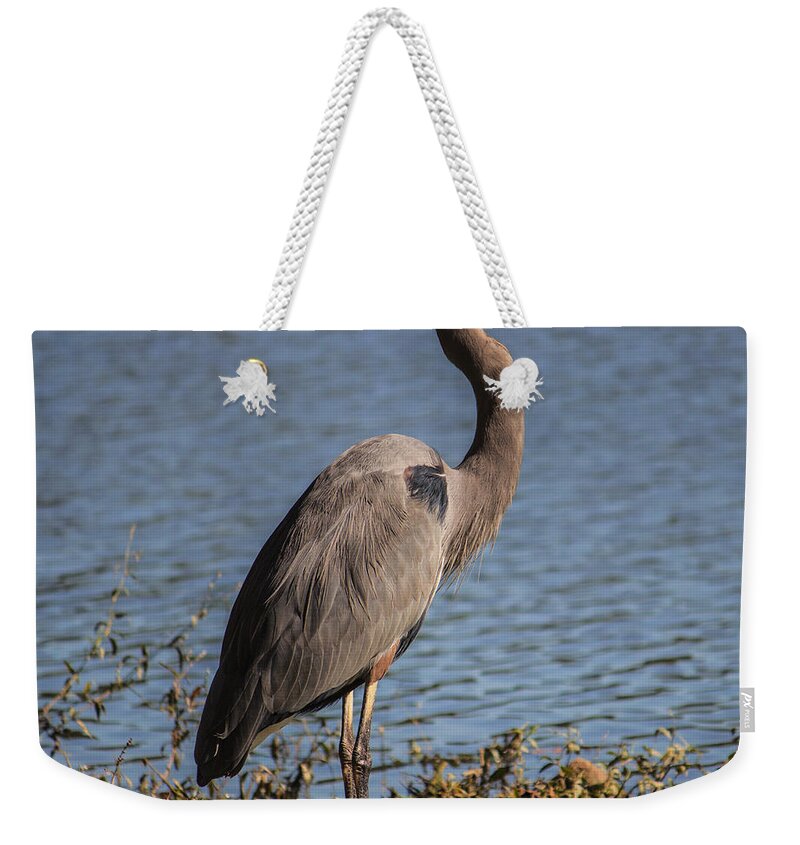 Bird Weekender Tote Bag featuring the photograph Big Bird by Roberta Byram