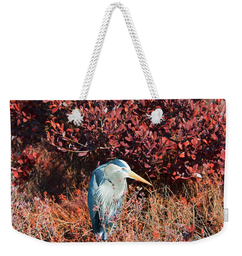 Heron Weekender Tote Bag featuring the photograph Big Blue V2 by Douglas Barnard