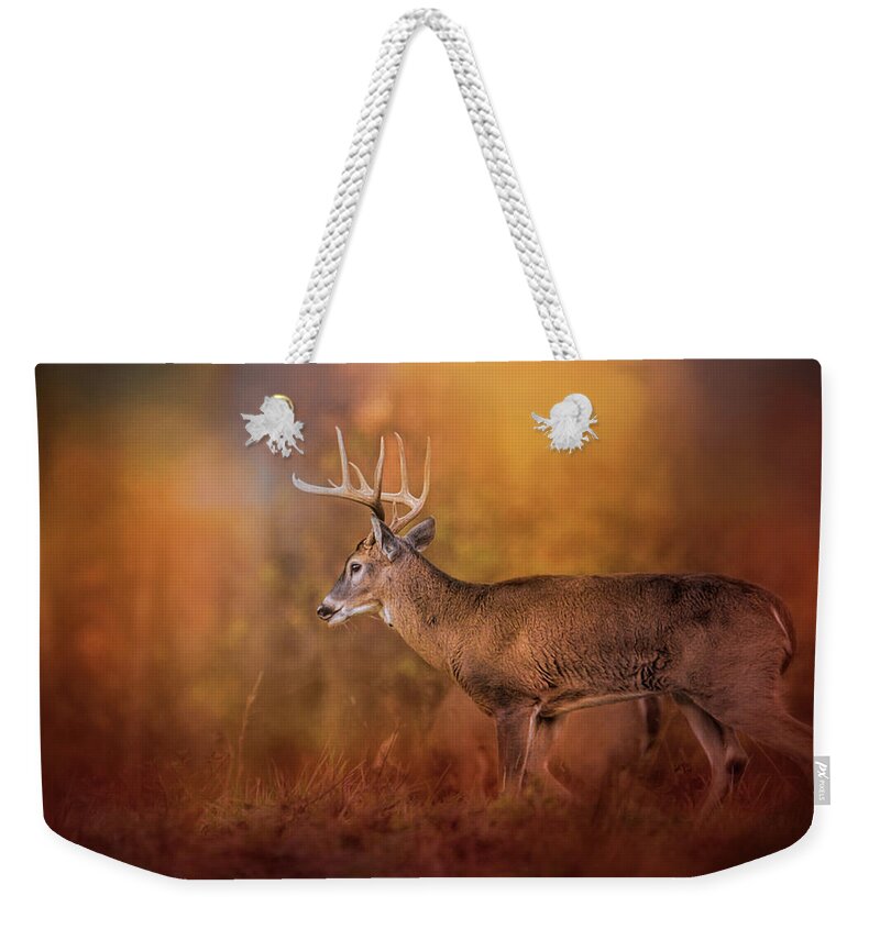 Jai Johnson Weekender Tote Bag featuring the photograph Big Buck in Autumn White Tailed Deer Art by Jai Johnson