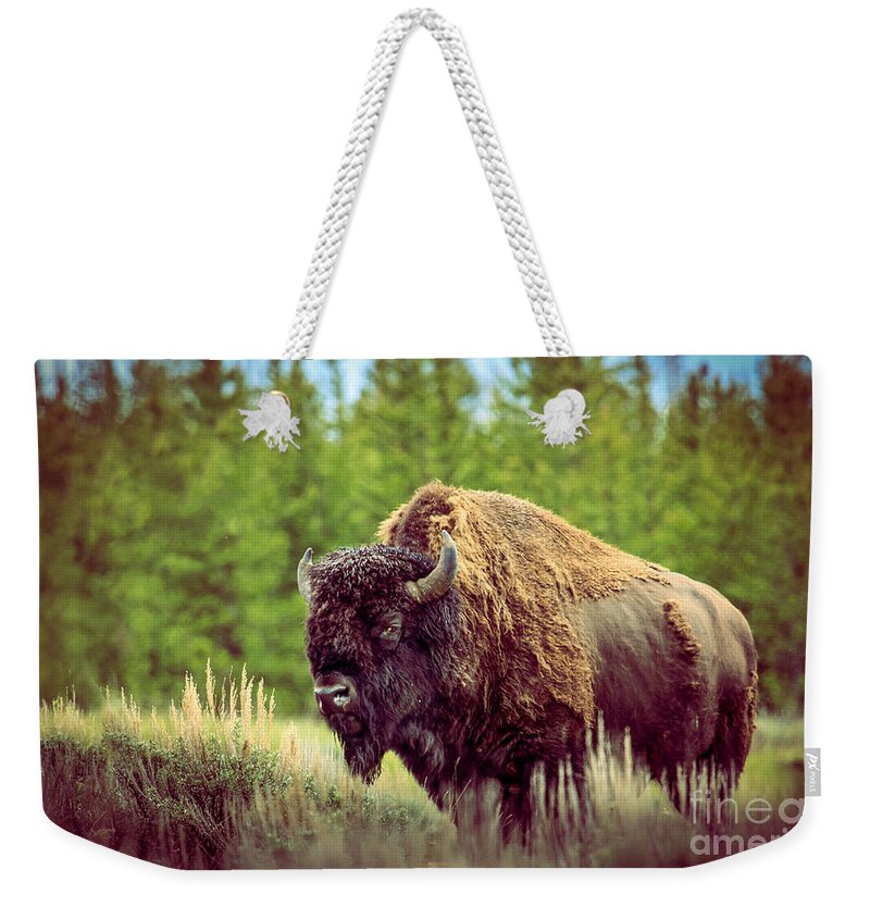Mammal Weekender Tote Bag featuring the photograph Big Daddy by Robert Bales