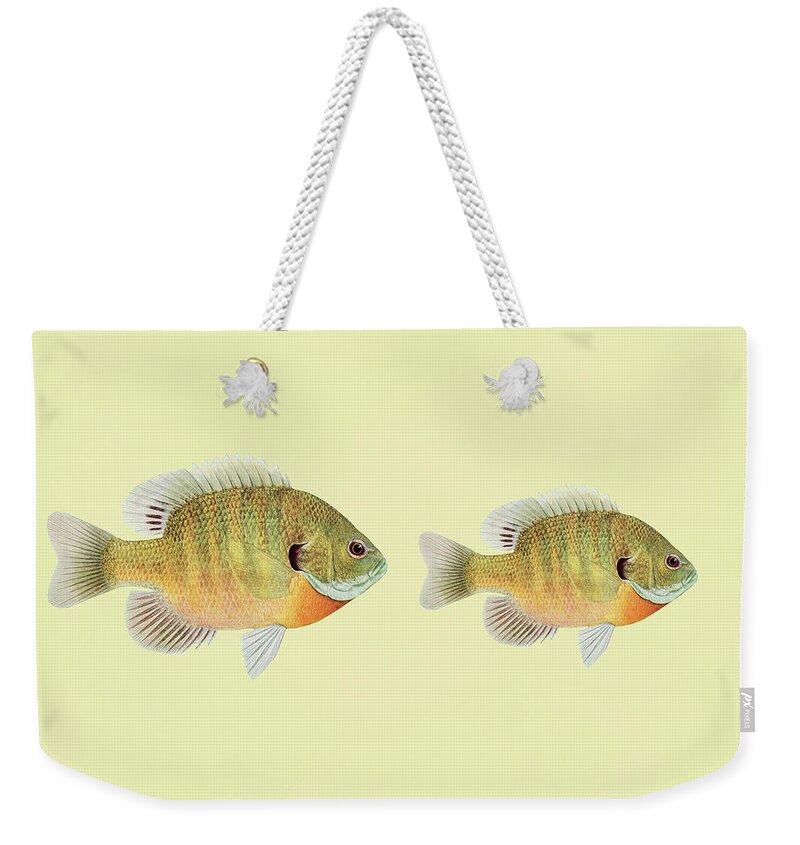 Big Fish Little Fish Weekender Tote Bag featuring the mixed media Big Fish Little Fish by Georgiana Romanovna