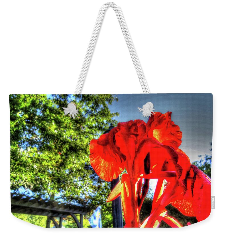 Flowers Weekender Tote Bag featuring the digital art Big Red by Kathleen Illes