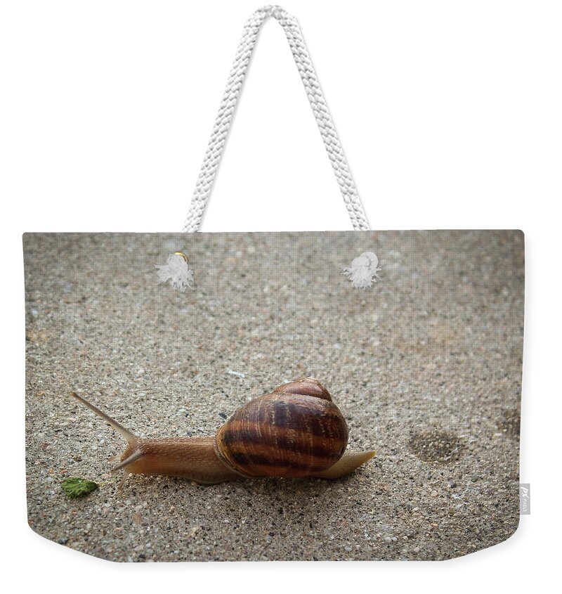 Snail Weekender Tote Bag featuring the photograph Big Salad by Alison Frank