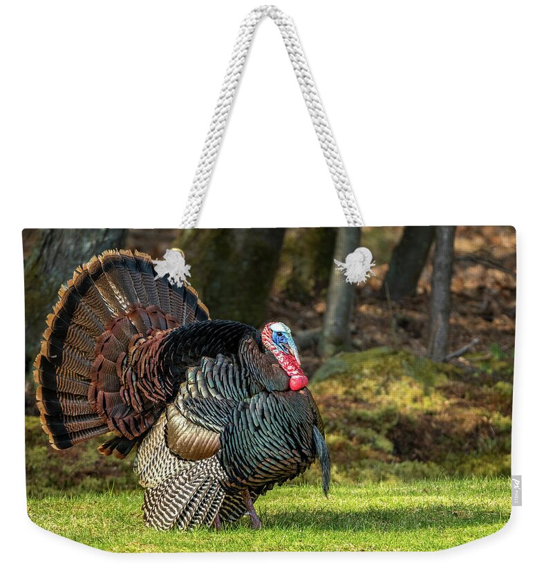 Turkey Weekender Tote Bag featuring the photograph Big Tom Turkey by Steven Upton