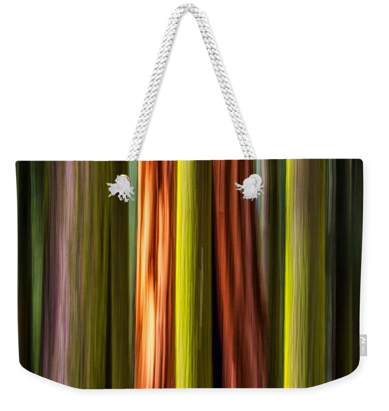 Plants Weekender Tote Bag featuring the photograph Big Trees Abstract by Rikk Flohr