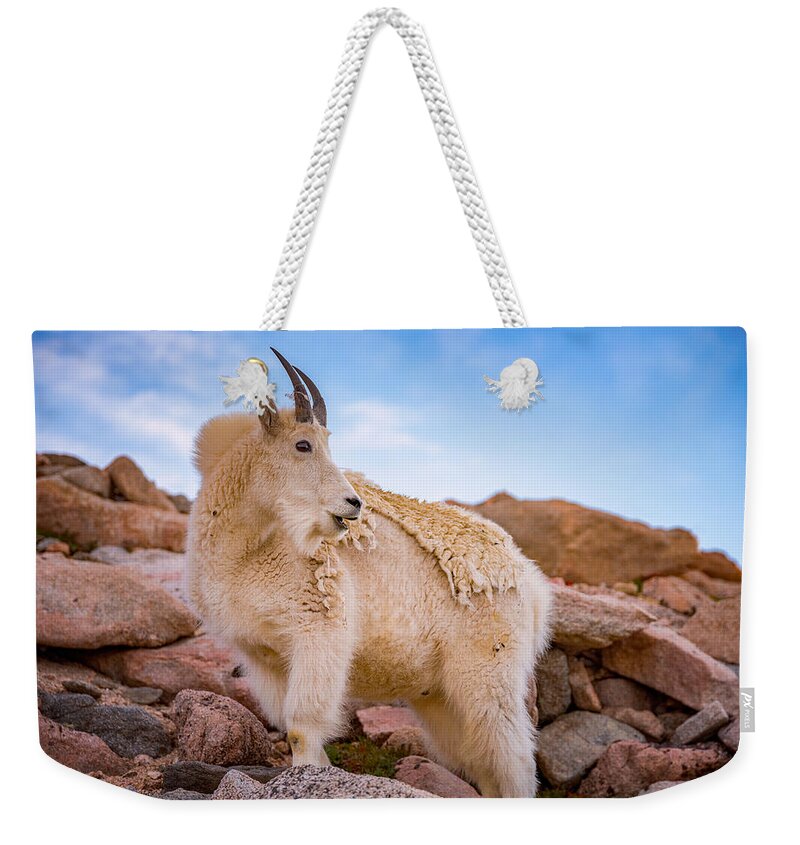 Colorado Weekender Tote Bag featuring the photograph Billy Goat's Scruff by Darren White