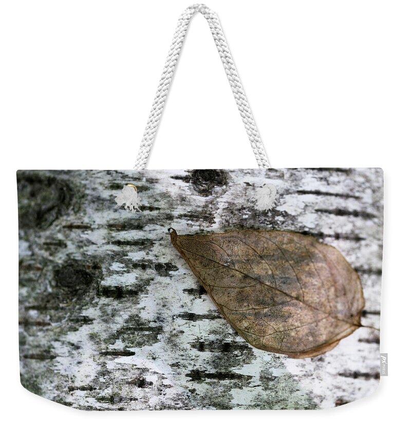 Birch Weekender Tote Bag featuring the photograph Birch and Fall Leaf by Mary Bedy
