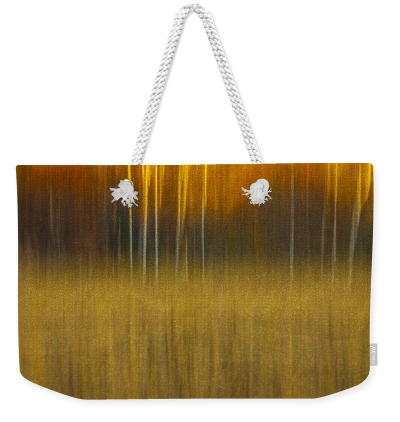 Abstract Weekender Tote Bag featuring the photograph Birch At The Edge Of The Field 2015 by Thomas Young