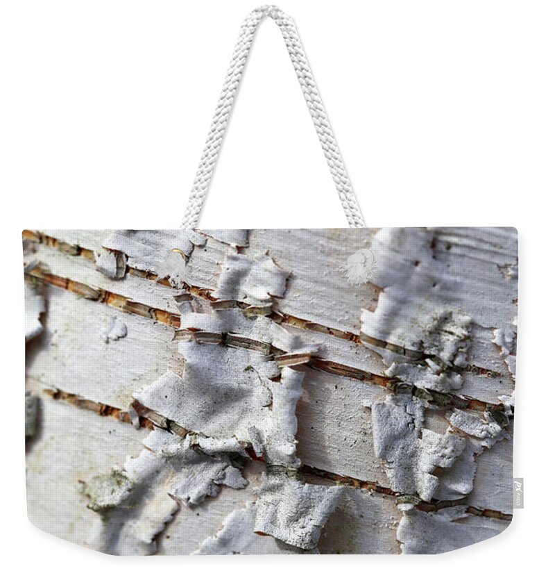 Birch Weekender Tote Bag featuring the photograph Birch Beauty 2 by Mary Bedy
