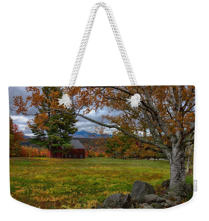 Chocorua Fall Colors Weekender Tote Bag featuring the photograph Birch over the mountains by Jeff Folger