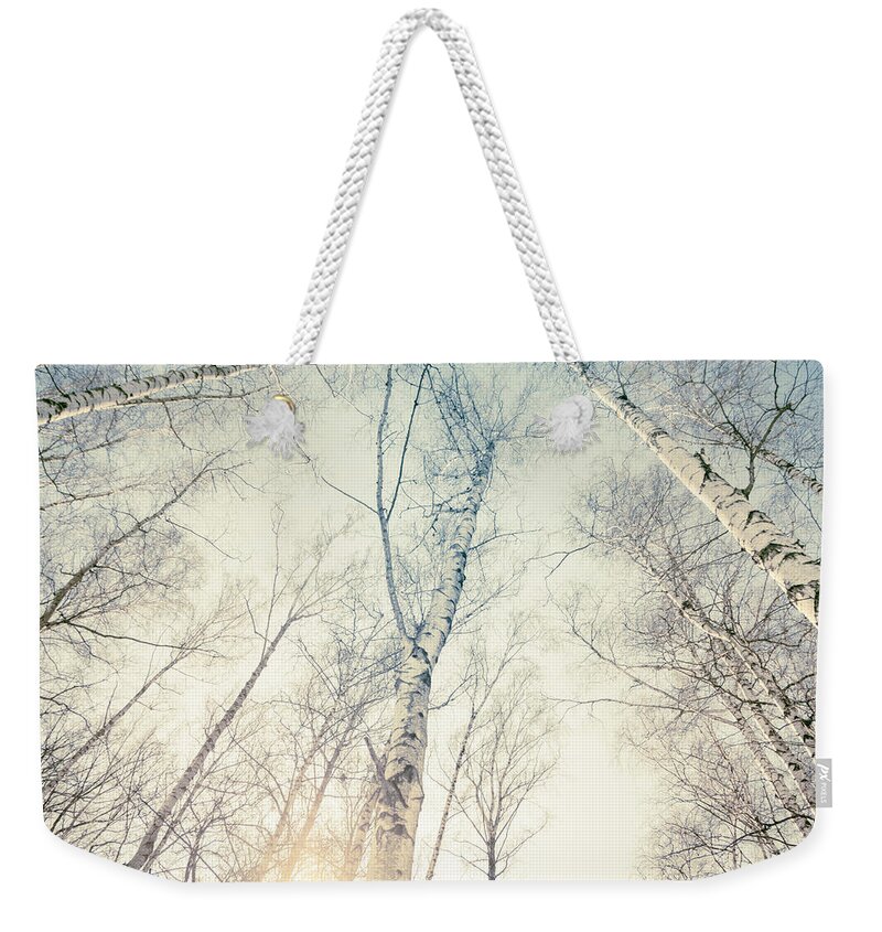 Tree Weekender Tote Bag featuring the photograph Birch Trees 4 by Dorit Fuhg