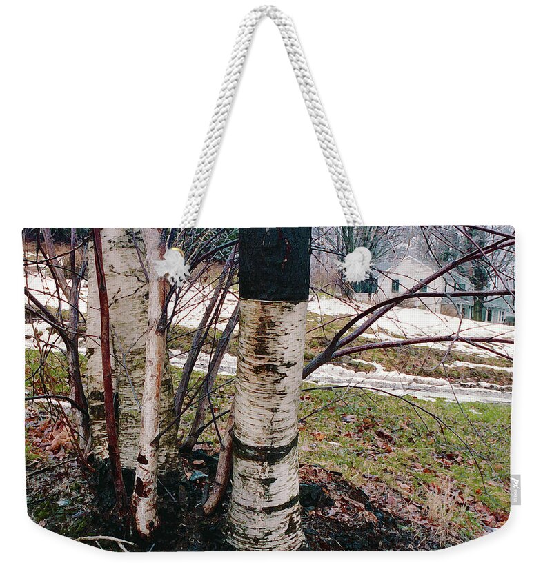 Nyoda Girls Camp Weekender Tote Bag featuring the digital art Birch Trees with House, Winter at Camp Nyoda 1988 by Kathy Anselmo