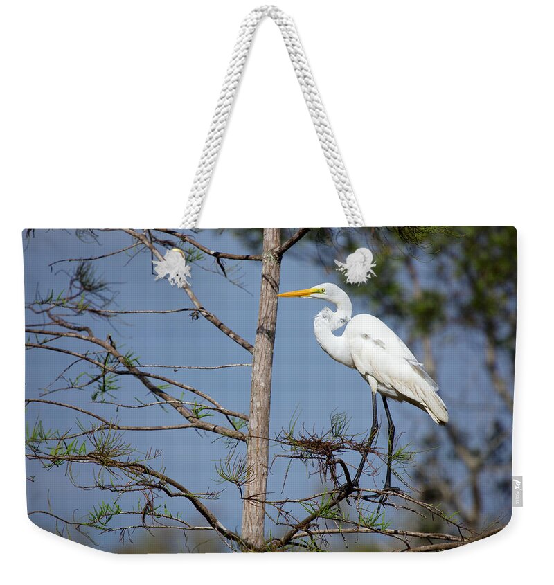 Bird Weekender Tote Bag featuring the photograph Bird 154 by Michael Fryd