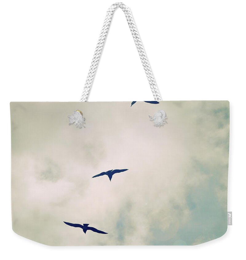 Birds Weekender Tote Bag featuring the photograph Bird Dance by Lyn Randle