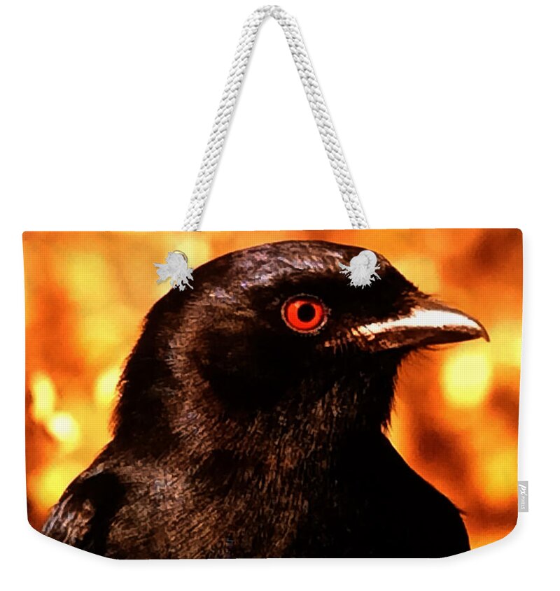 Colette Weekender Tote Bag featuring the photograph Bird Friend by Colette V Hera Guggenheim