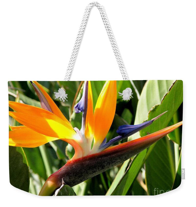 Bird Of Paradise Weekender Tote Bag featuring the photograph Bird of Paradise by Mary Deal