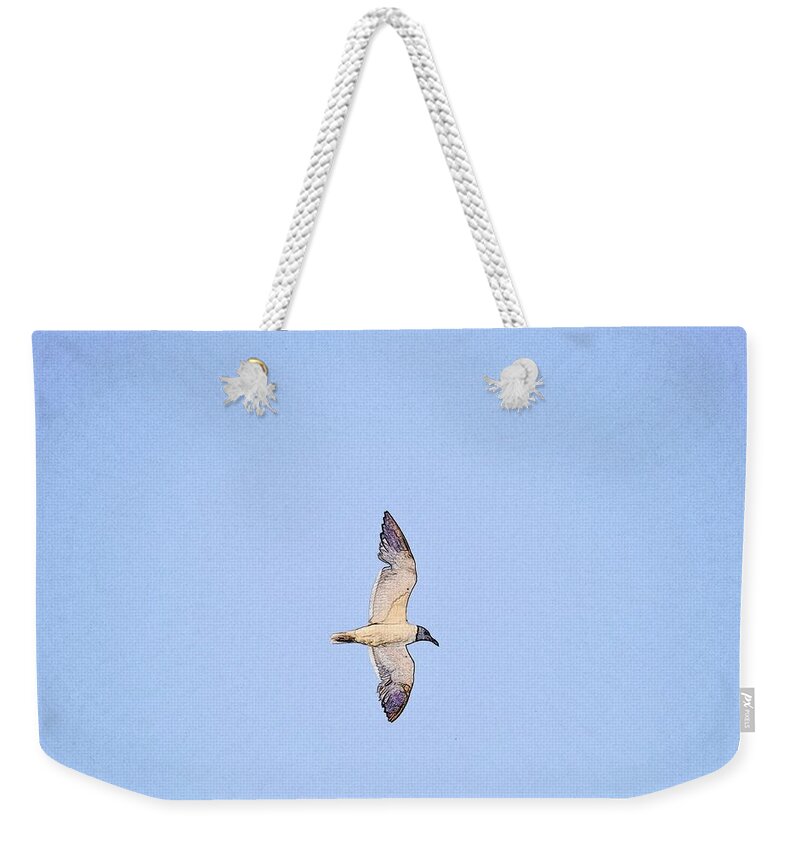 Sea Gull Weekender Tote Bag featuring the photograph Bird Sketch by Kristina Deane