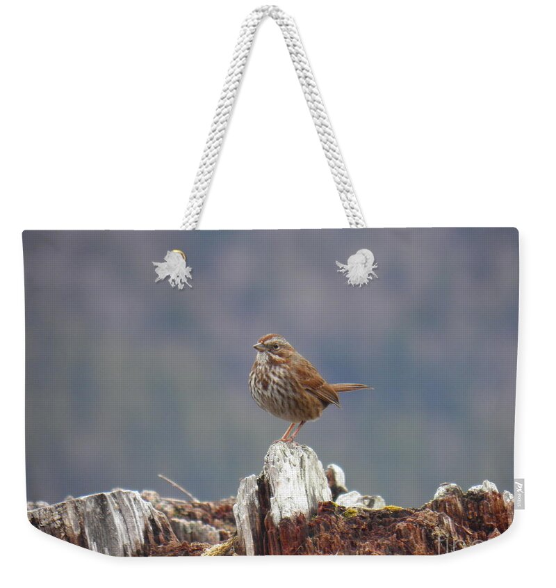 Bird Standing Stump Brown Grey Blue Green Profile Landscape Light Shadow Dark White Contrast Weekender Tote Bag featuring the painting Bird song by Ida Eriksen