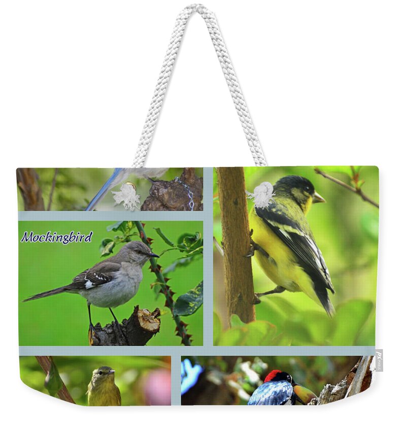 Collage Weekender Tote Bag featuring the photograph Birds Around My House Collage by Debby Pueschel