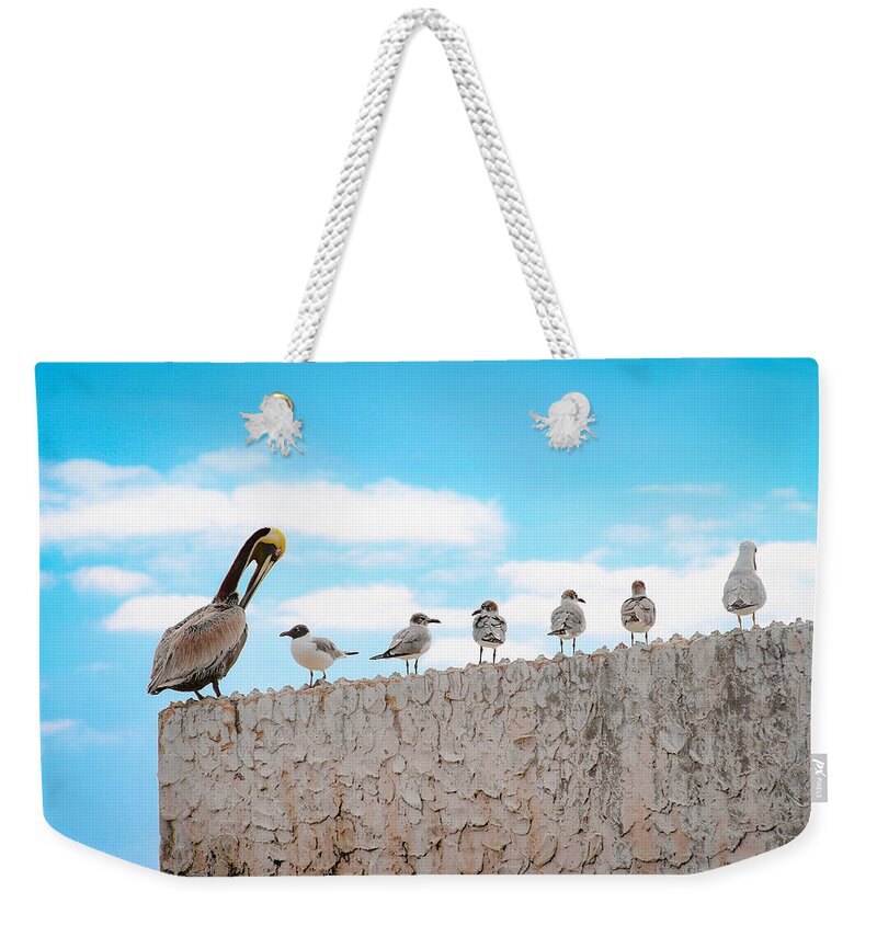 Bonnie Follett Weekender Tote Bag featuring the photograph Birds Catching Up on News by Bonnie Follett